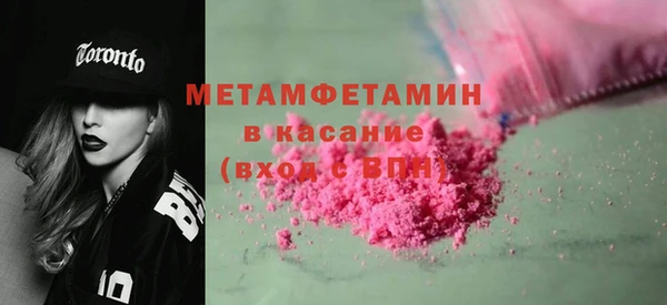 шишки Инта