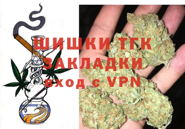 гидра Бронницы