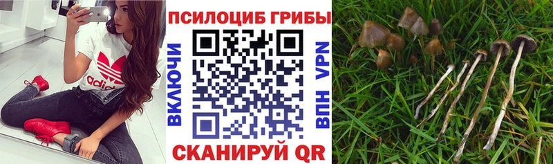 mega ONION Верхняя Салда сайты даркнета как зайти Галлюциногенные грибы GOLDEN TEACHER